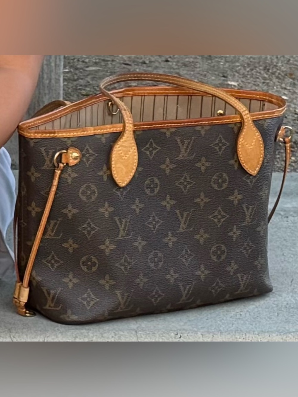Louis Vuitton Brown Monogram Canvas neverfull PM